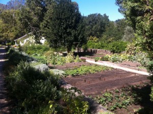 springMountainGarden